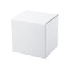 AP809474 01 A 100x100